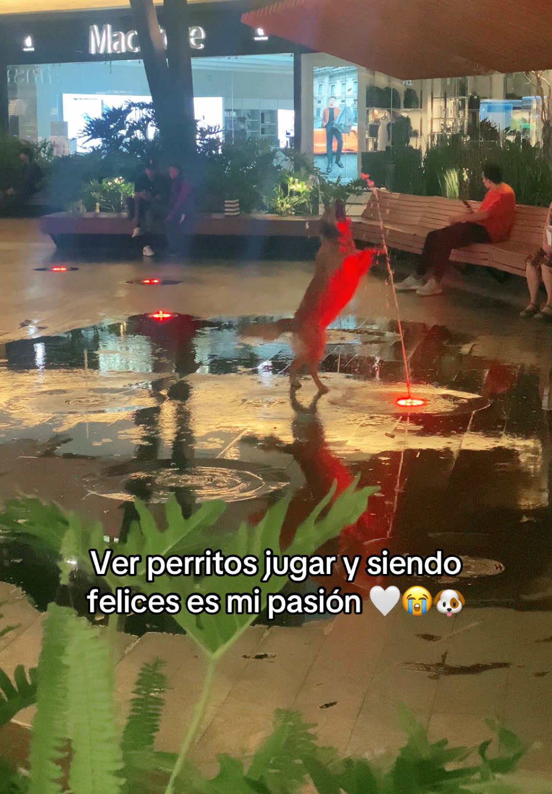 @Marífer Lepiz