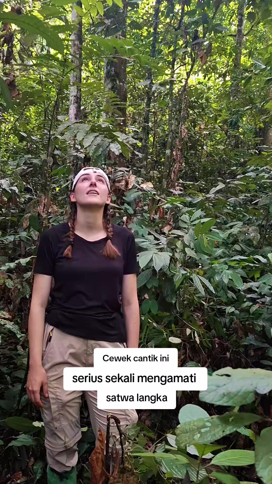@Sumatra Ketambe Jungle Tours