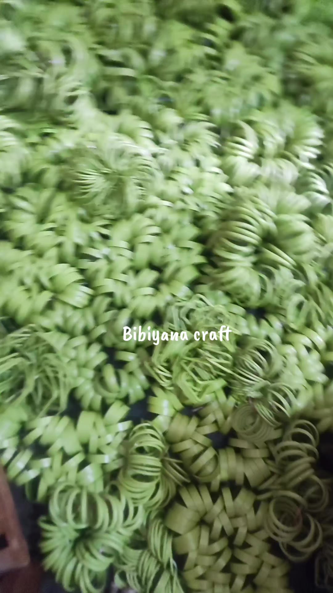 @Bibiyana CraftđĨāĻā§āύāĻžāϰ āĻĻā§āύāĻŋā§āĻž