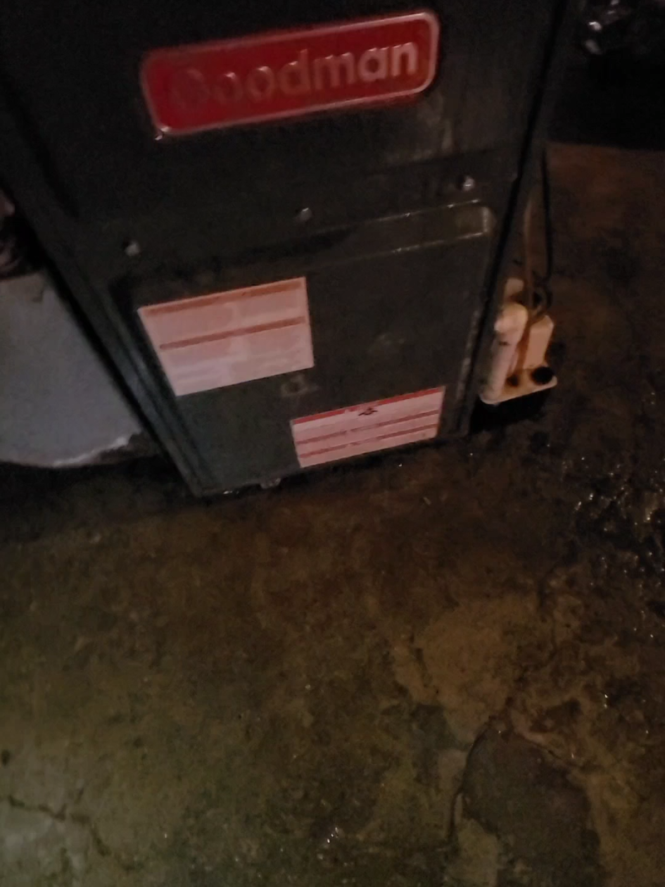 @Brittany Marie Smith
