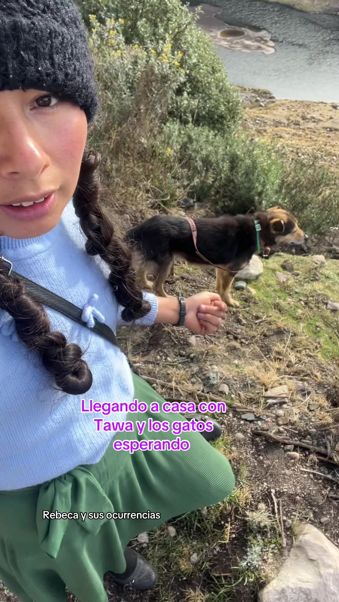 @🐈Rebeca y sus ocurrencias