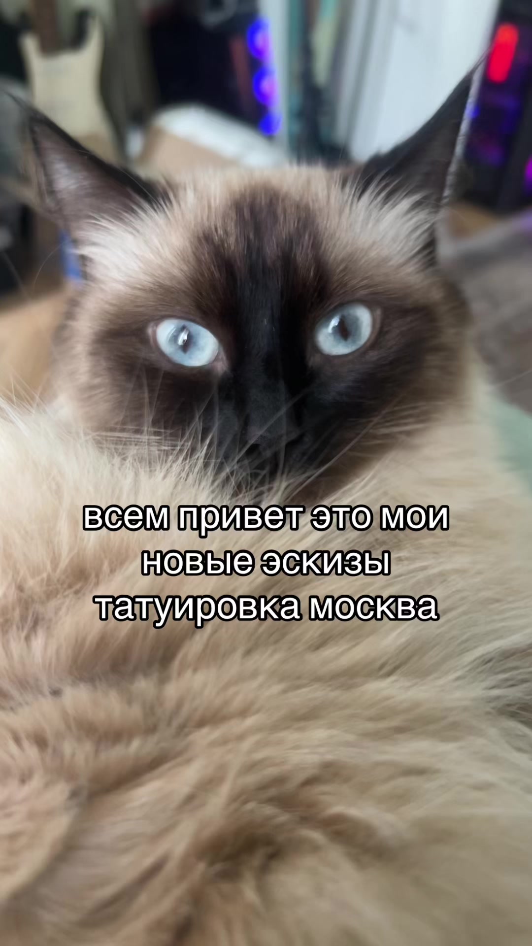 @ssqwty_
