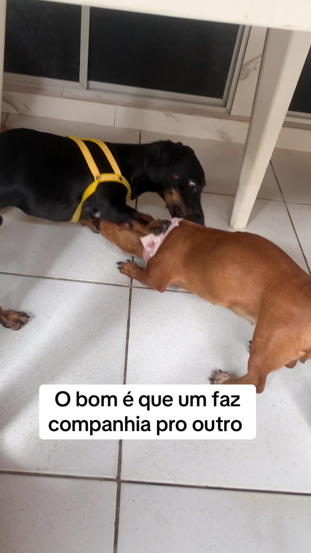 @Beatriz