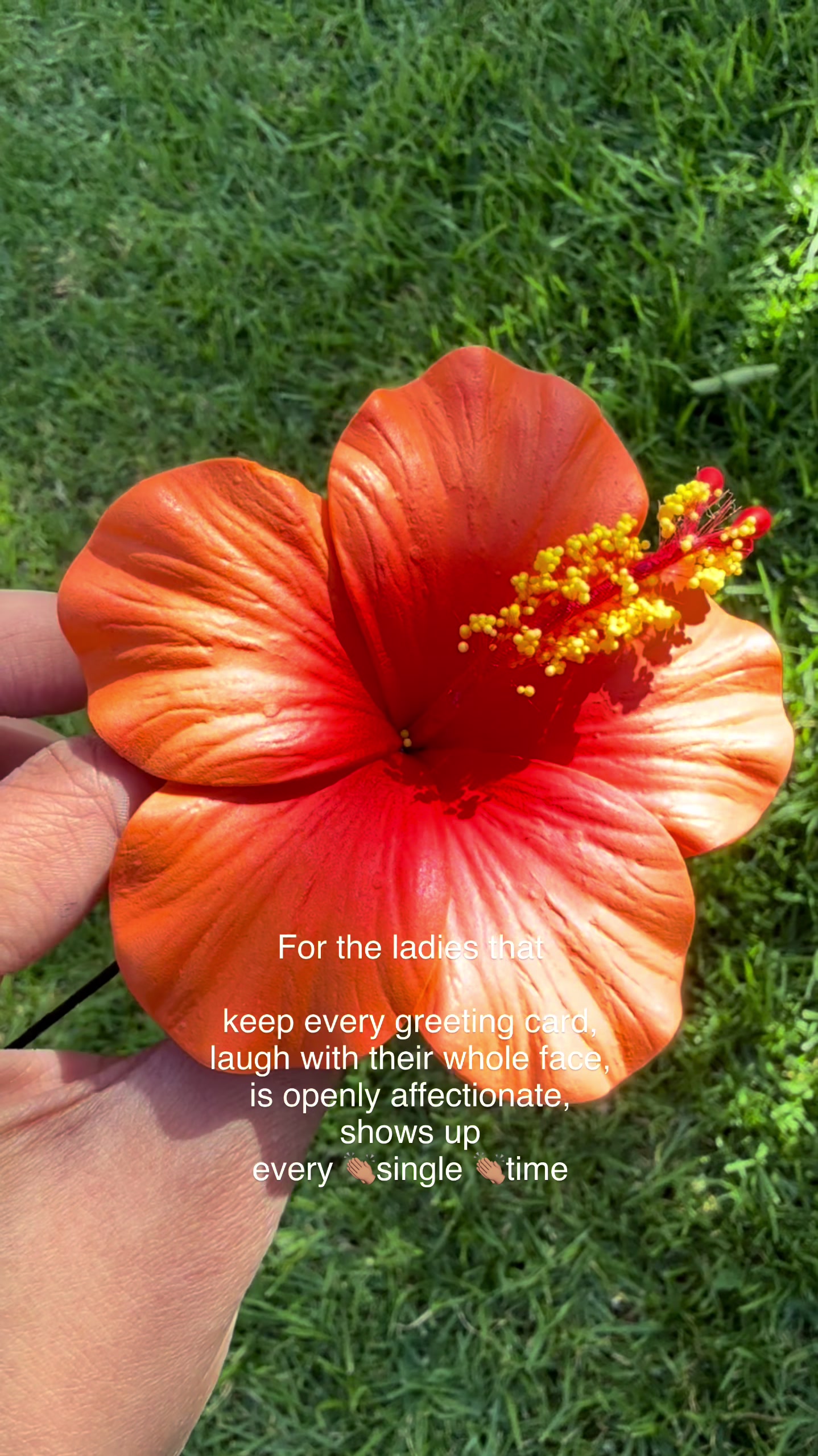 @Island Aesthetica 🌺 Pasifika