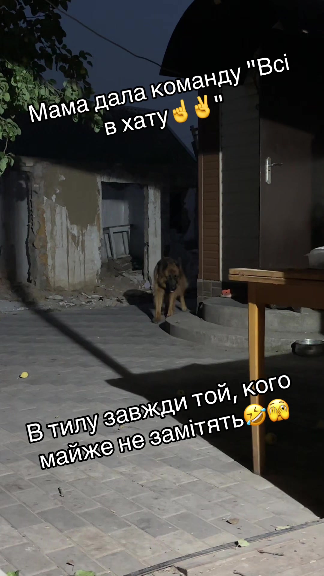@marynka🇺🇦