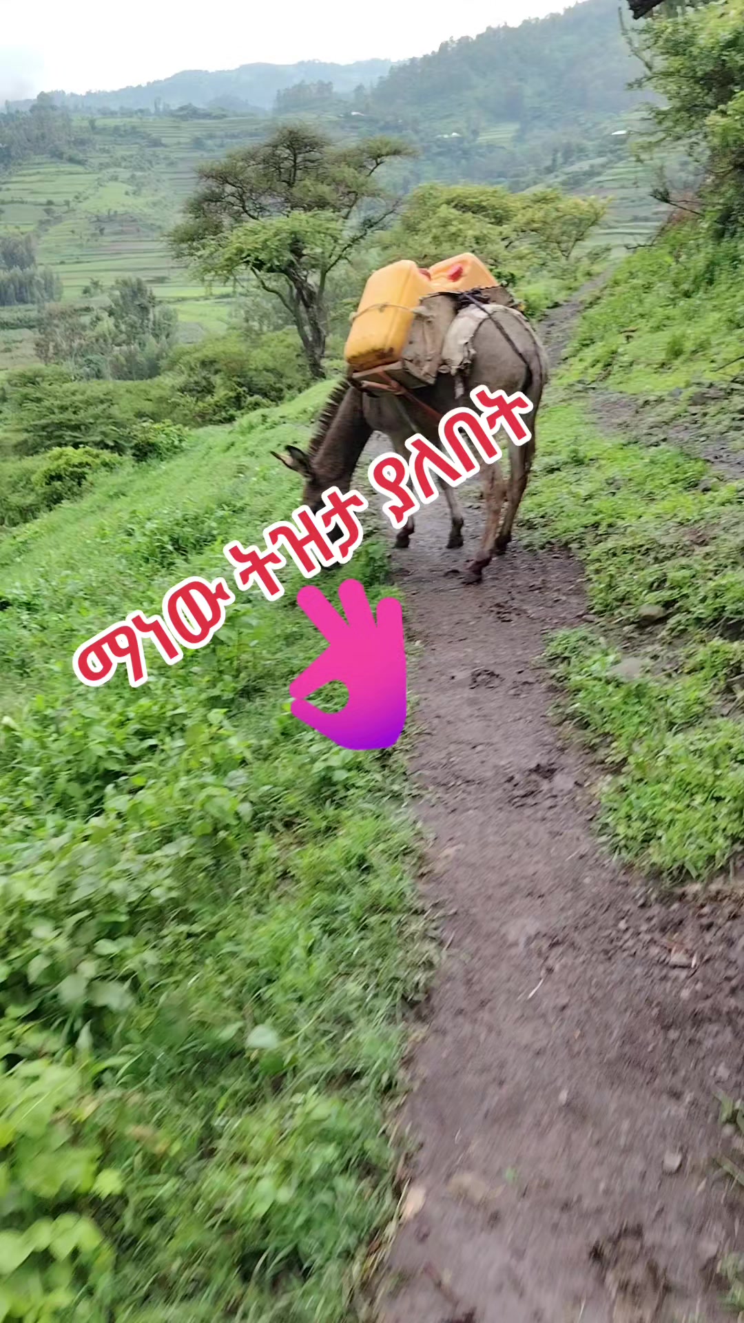 @እናት ባልትና 🇸🇦🇸🇦🛍🛍