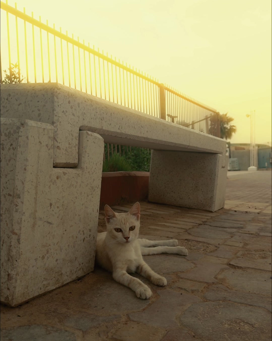 @عبدالإله
