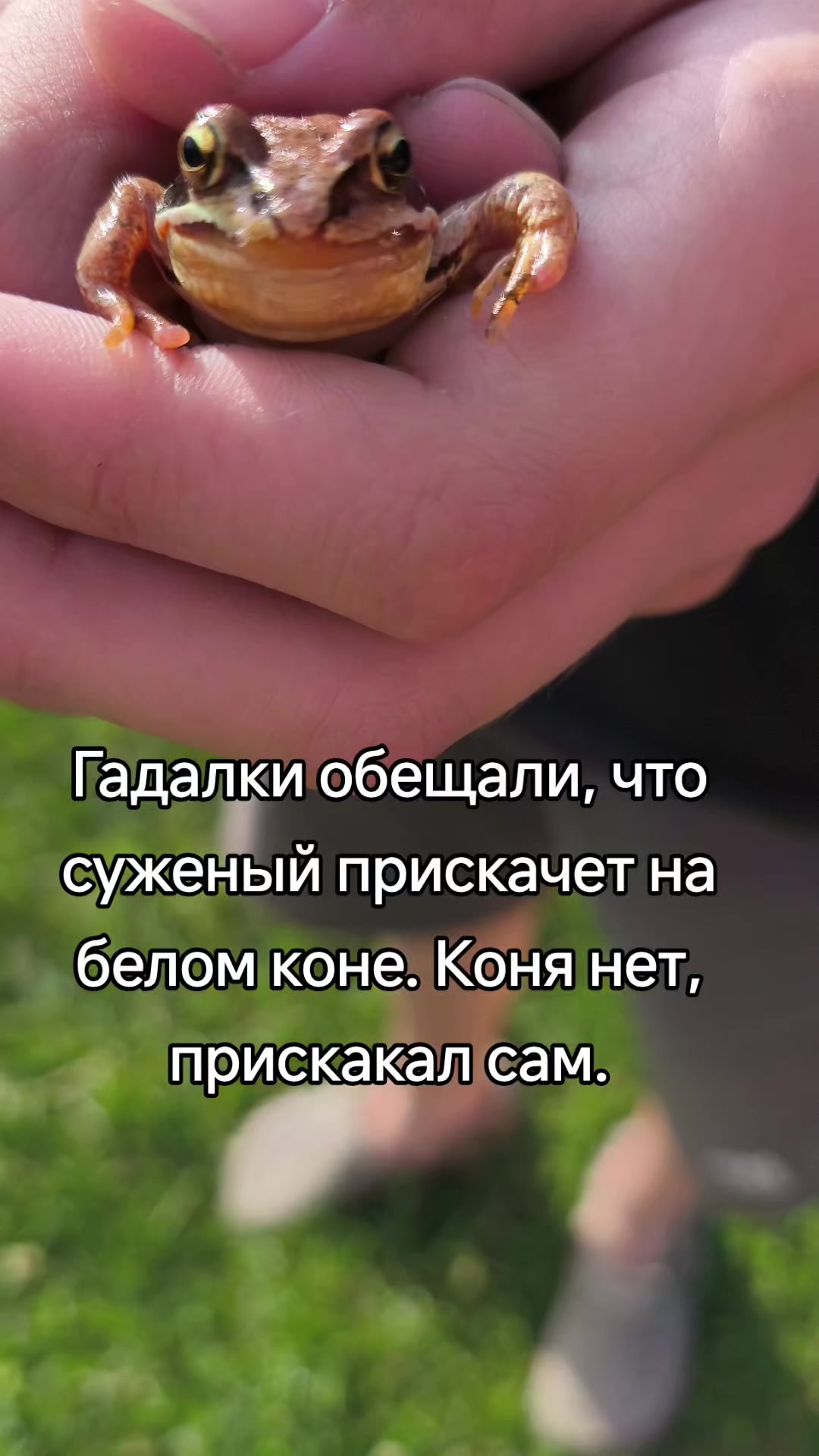 @Olechka
