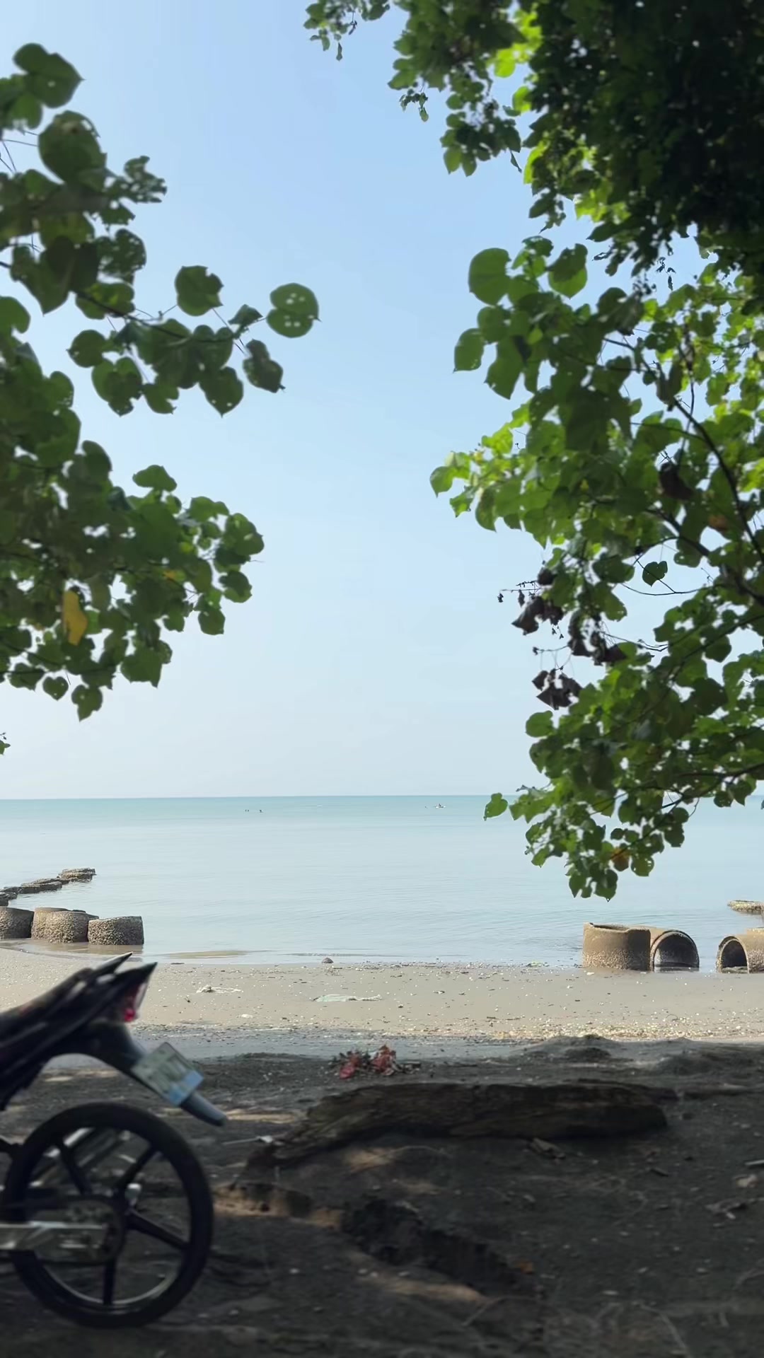 @Rayll🇻🇳
