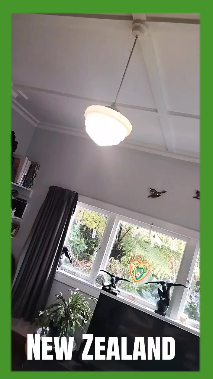 @paranoidhotwheels