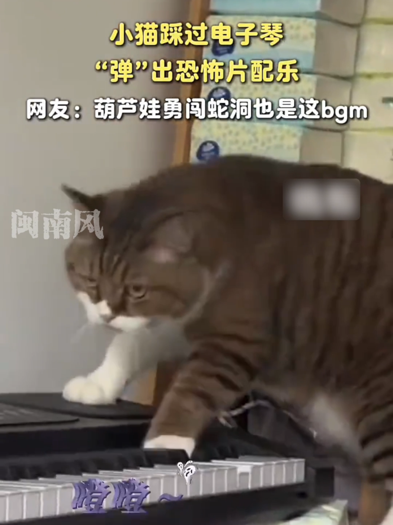 @闽南风~