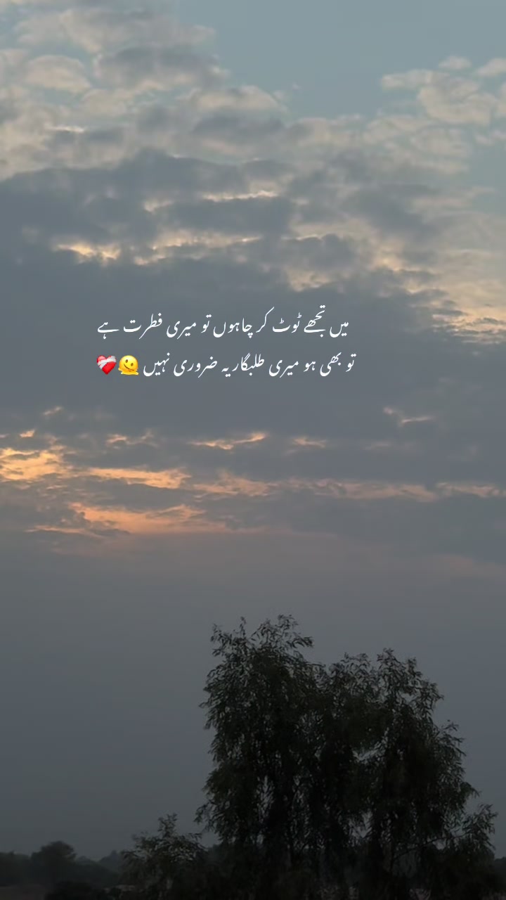 @🌸~
