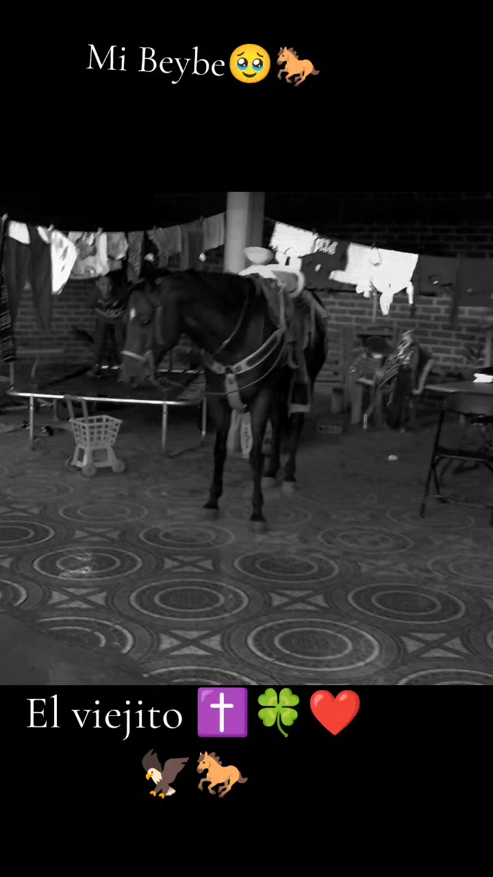 @Viejito Cordova✝️🍀❤️🐎🦅