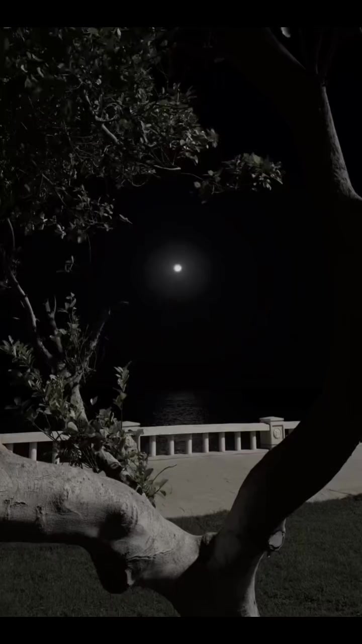 @Nirvana