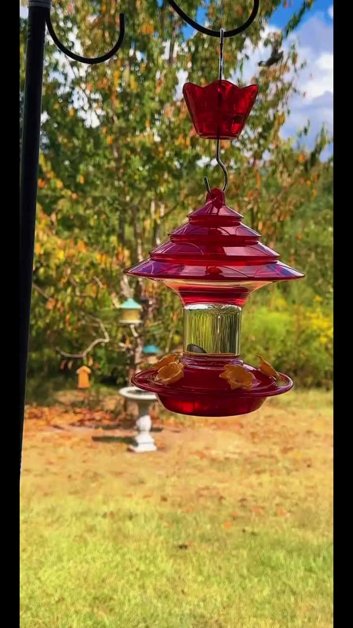 @🌿Jennierosebud🧬🌎🌹💜🐦⬛