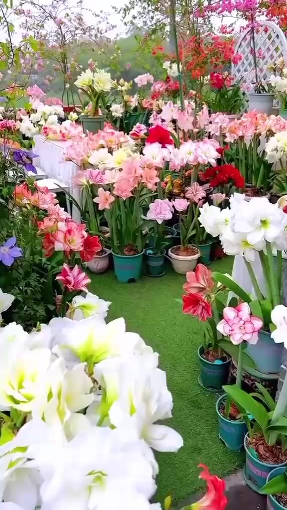 @คนธรรมดา