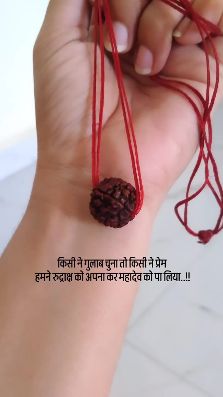 @Zisha