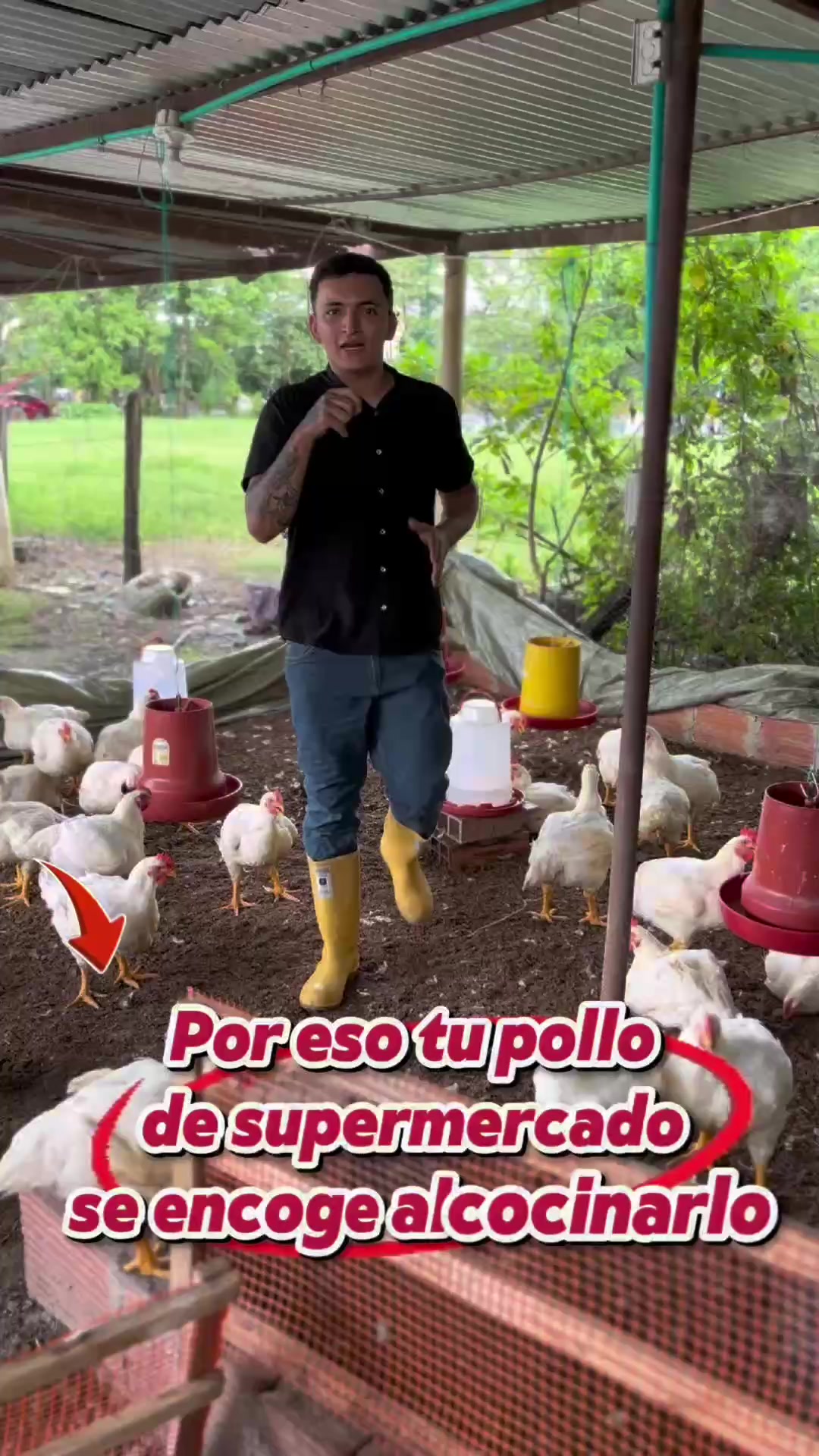 @elmagnatedelospollos
