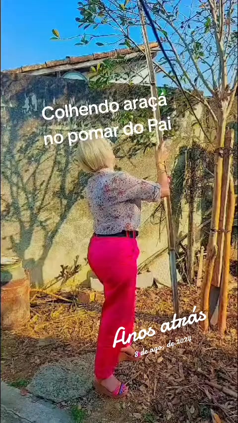 @elisabetemoura962