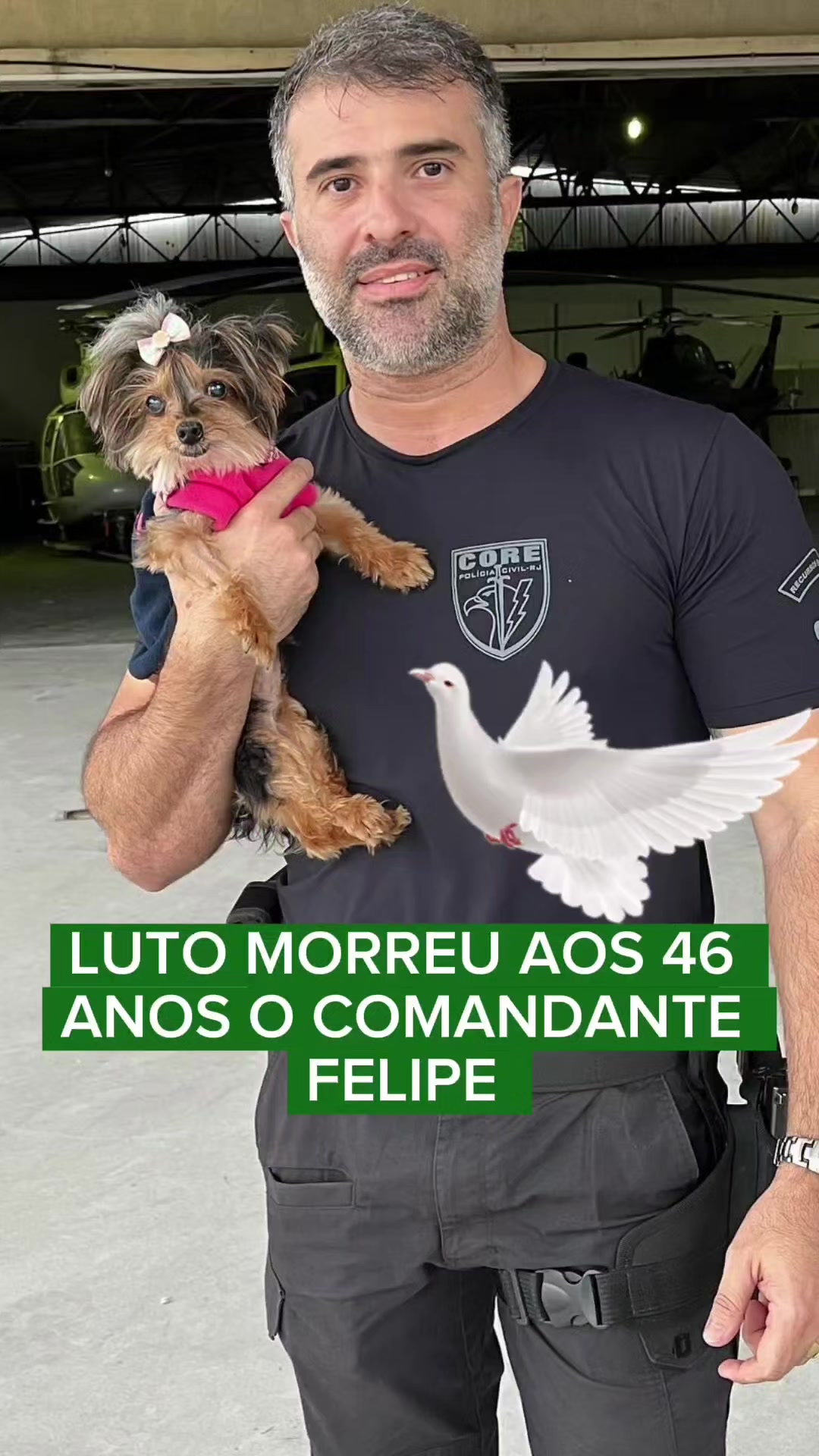 @TOQUE NEWS