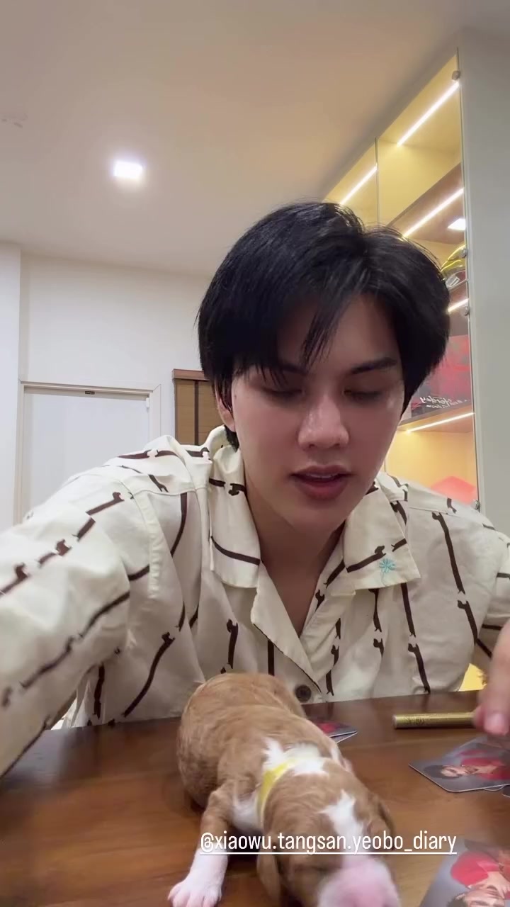 @𝐍𝐢𝐬𝐡𝐮 𝐆𝐢𝐫𝐥_🧸💗