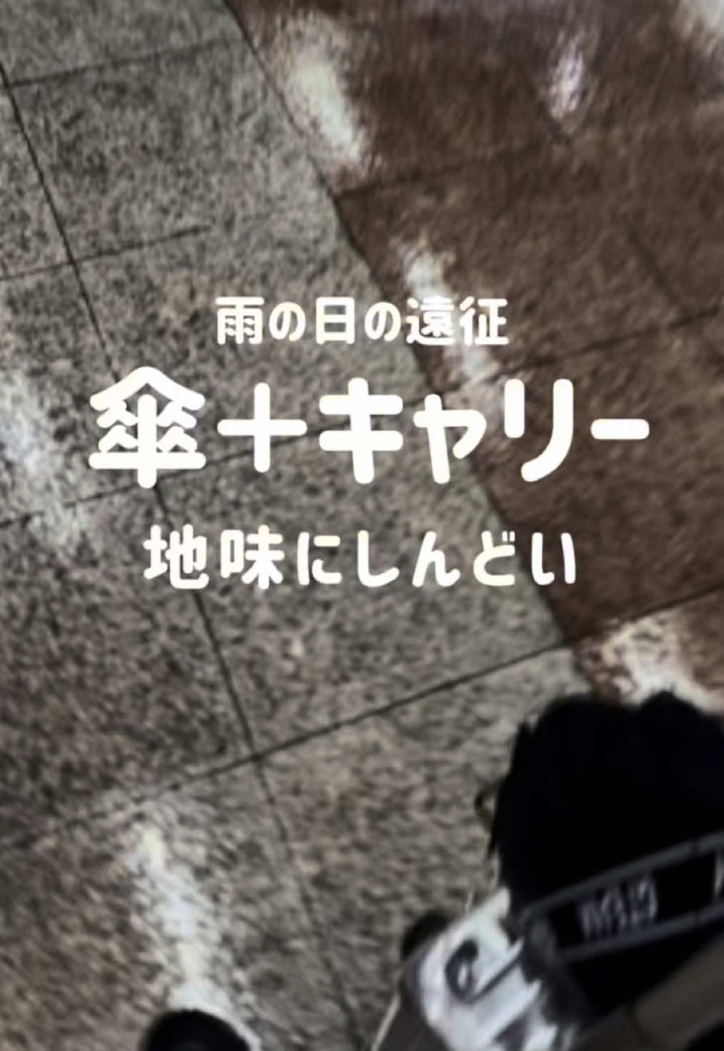 @しゆ〻オタ歴25年の幸せな推し活🕊️𓂃𓈒𓏸︎︎︎︎