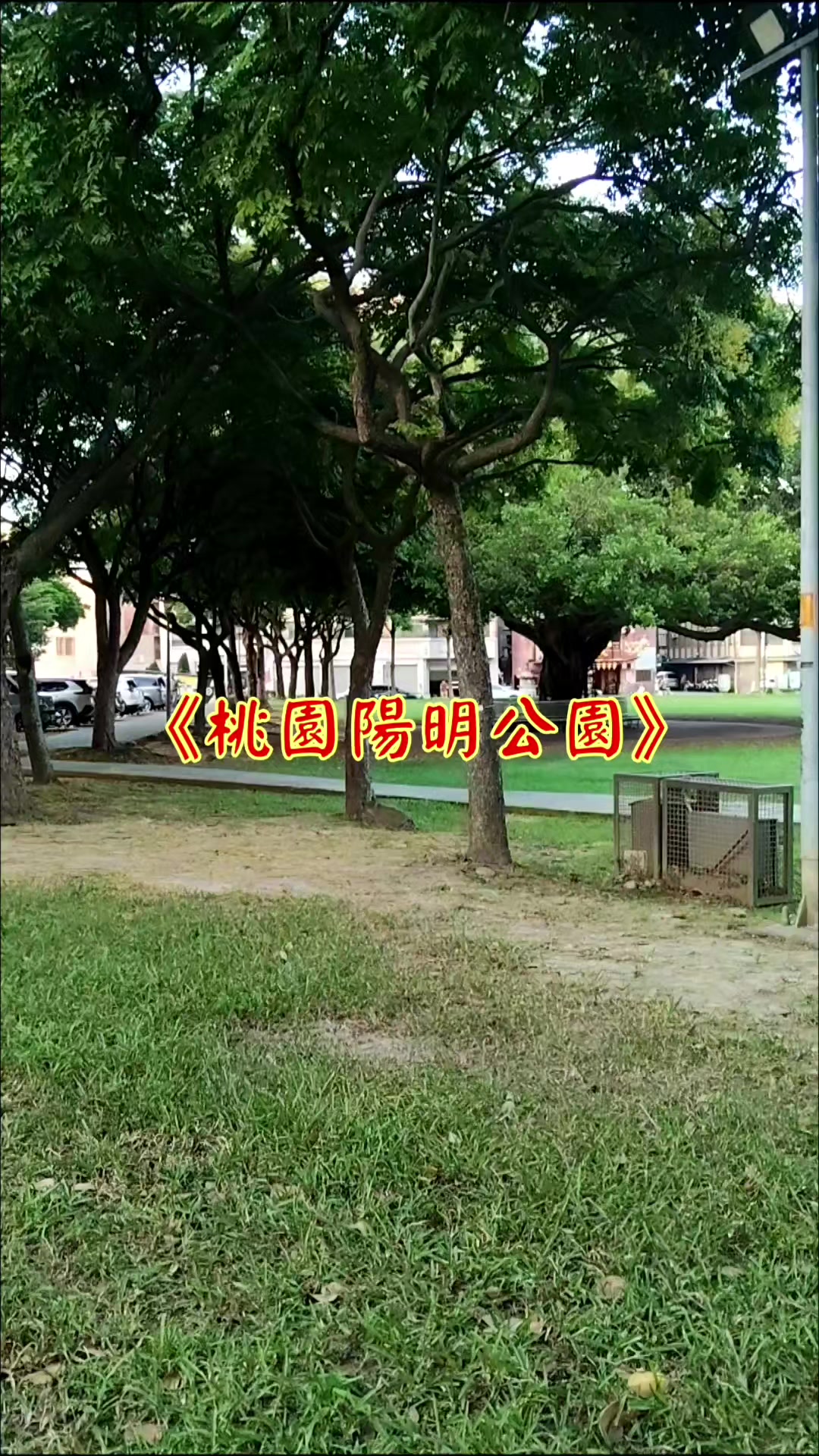 @雞不叫也天亮