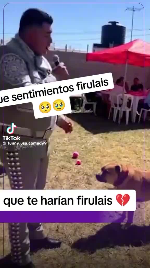 @Alexander✅️