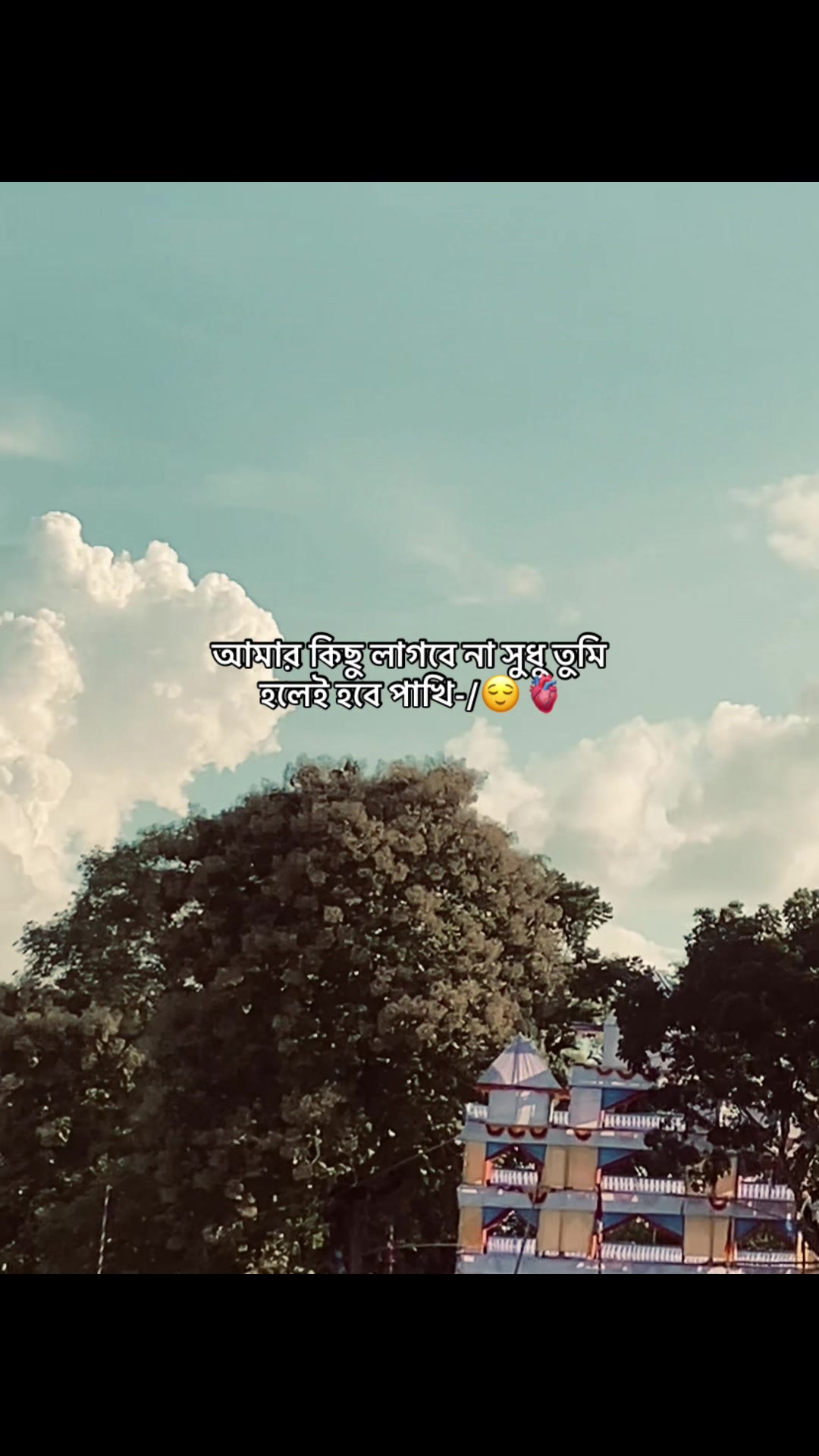 @️ ✭𓅃𝘼𝙡𝙞𝙛 𝙫𝙖𝙞