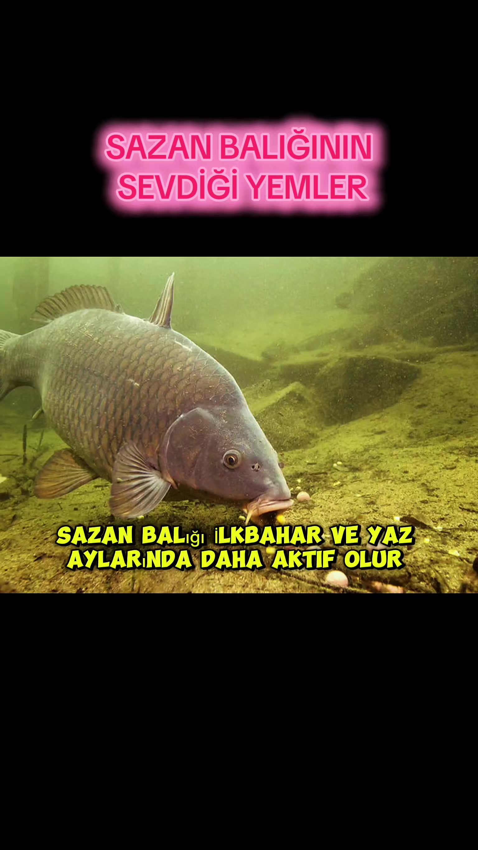 @Sportif Olta Balıkçıları