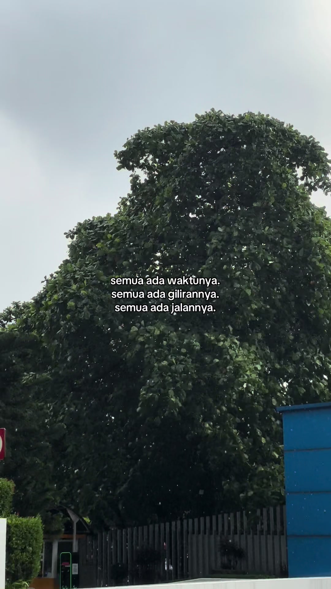 @𝗗𝗶𝗮𝗻𝘆
