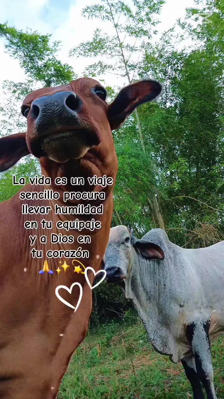 @Mónica Henao