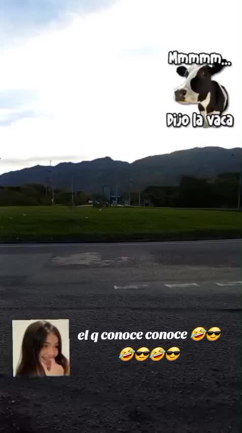 @el taya