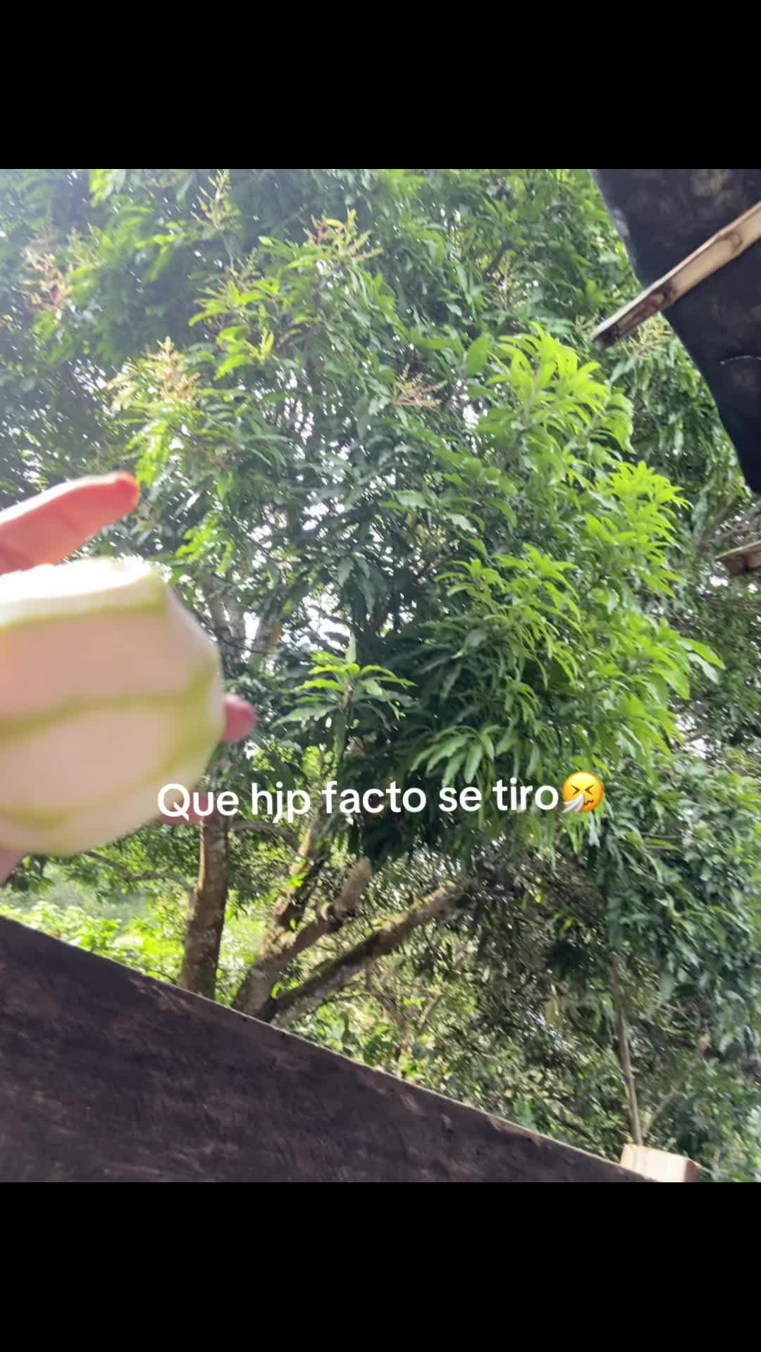 @Jenniffer Vargas🍎🍇