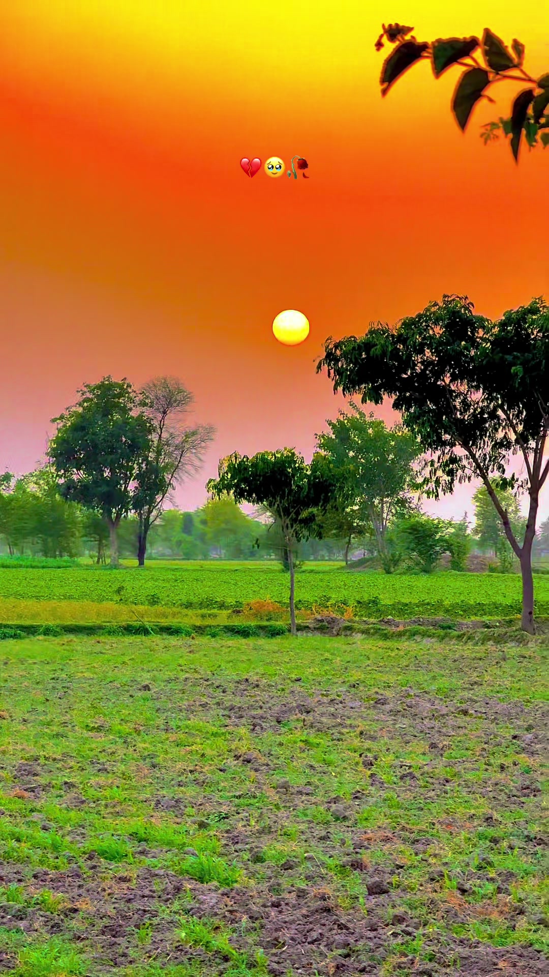 @🌾میں۔ میرا۔ پنڈ🎋