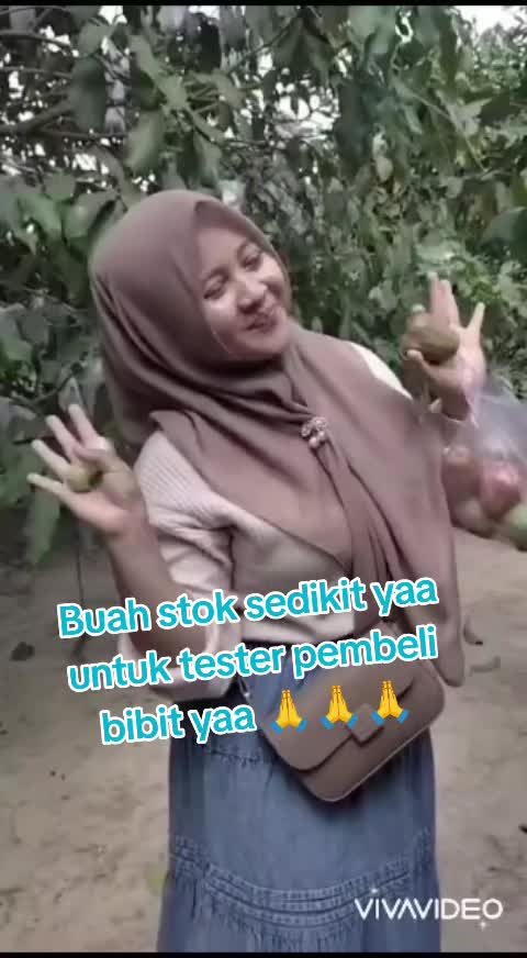 @Bibit khusus samarinda