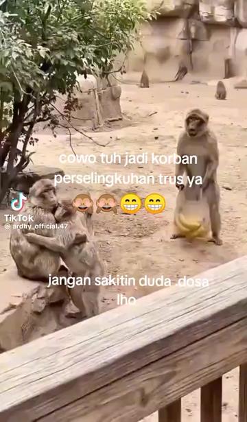 @DUREN-99😎🔥🔥