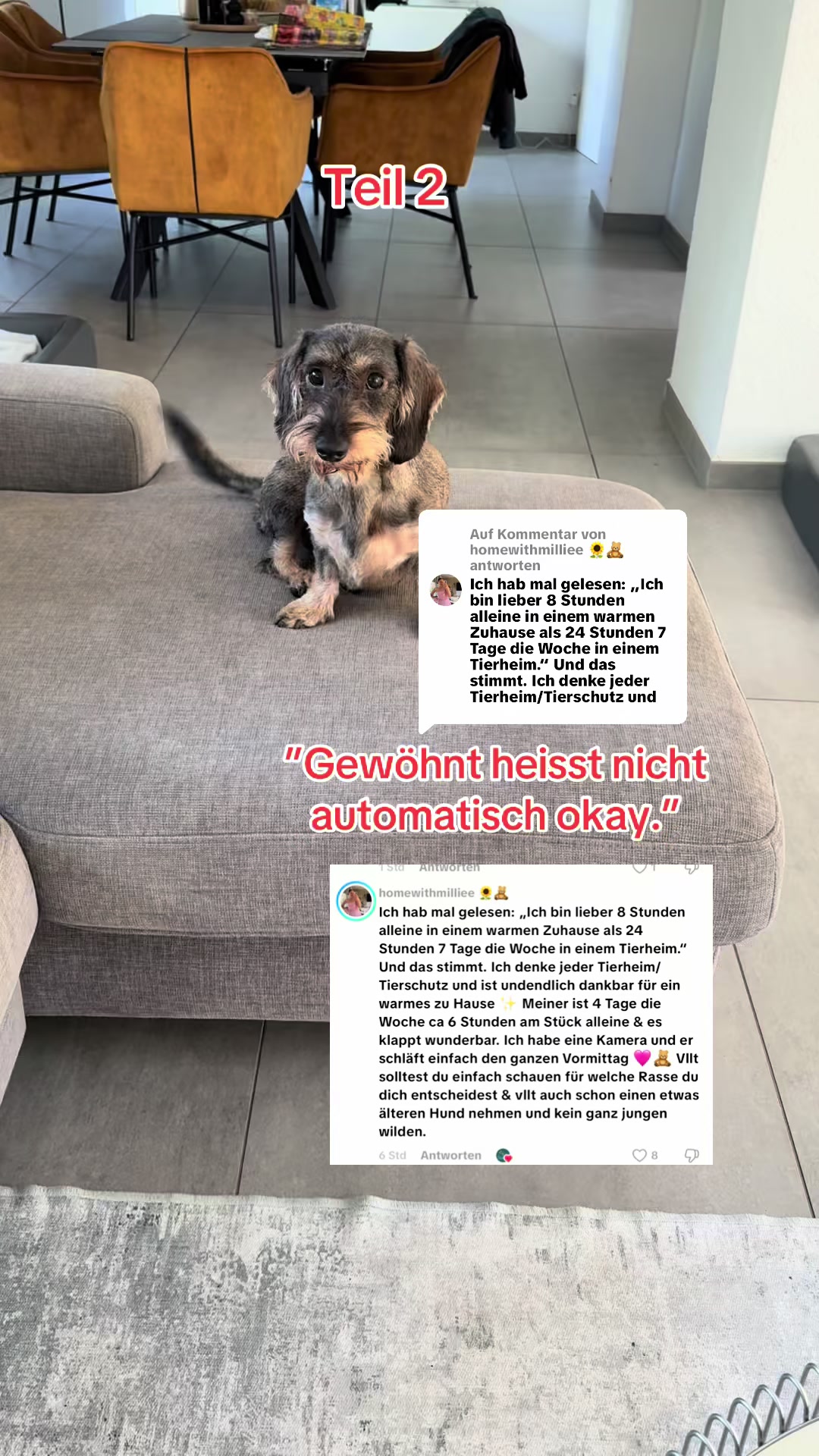 @Ichschützekinderundtiere