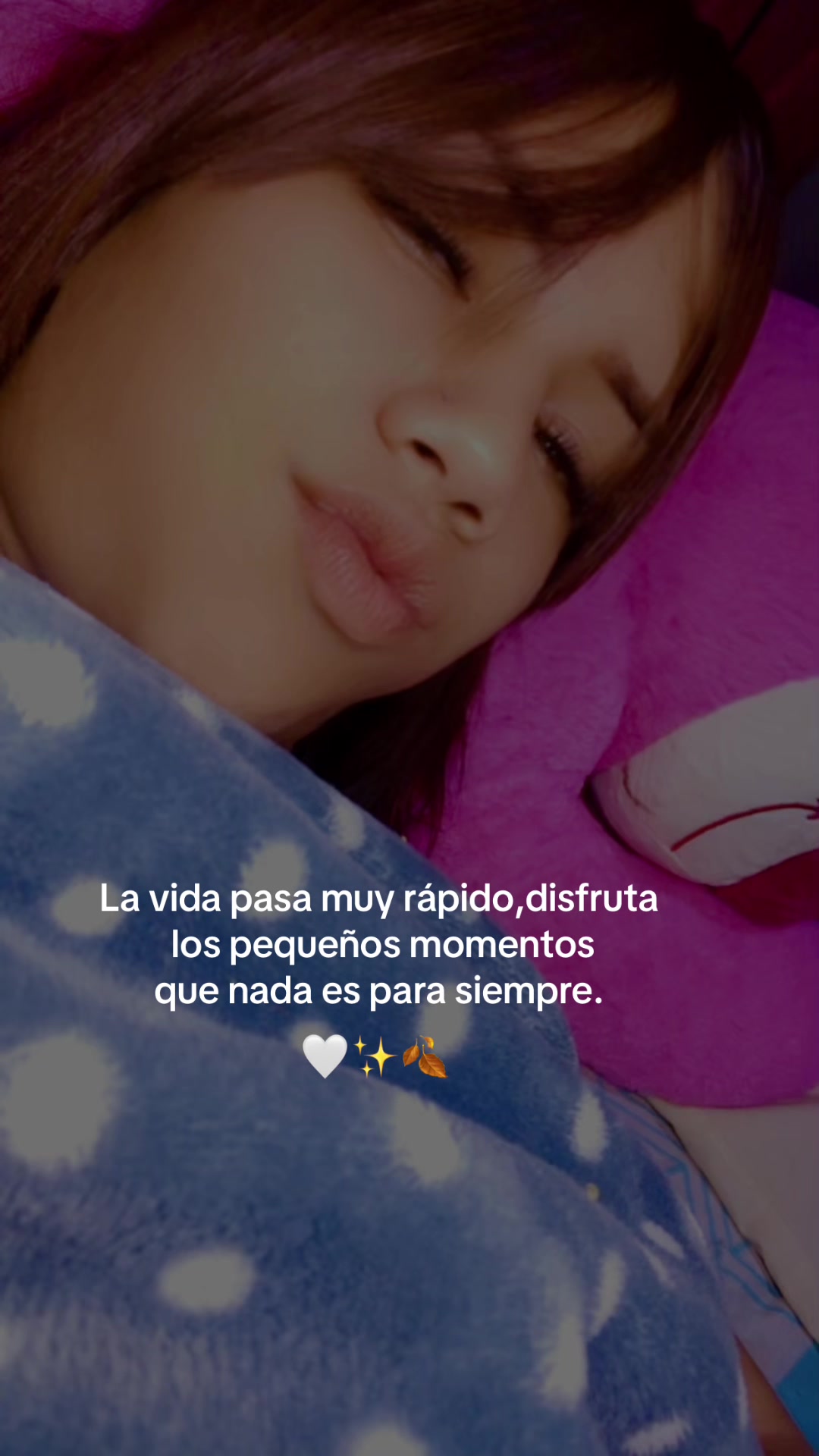 @camiladelavalle2