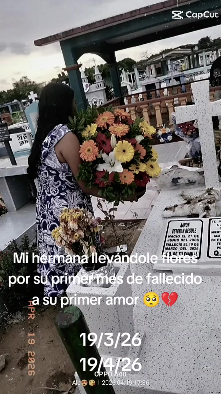 @🌻Ale🦋