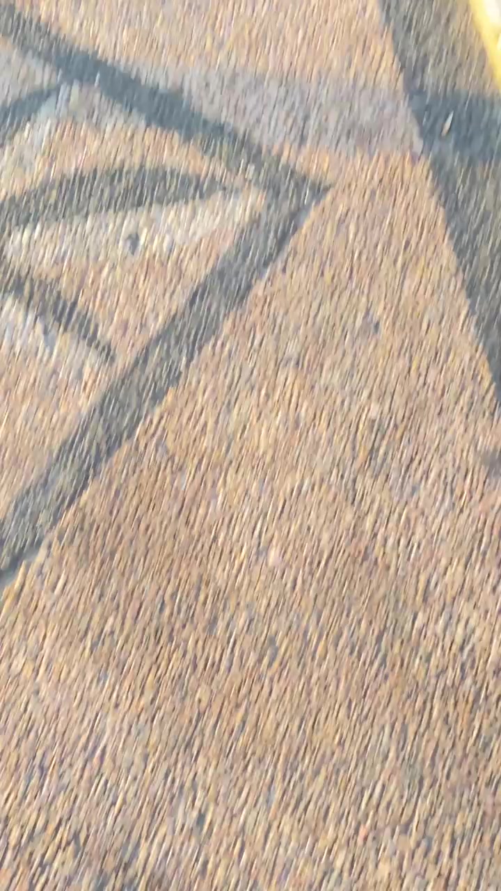 @19.25