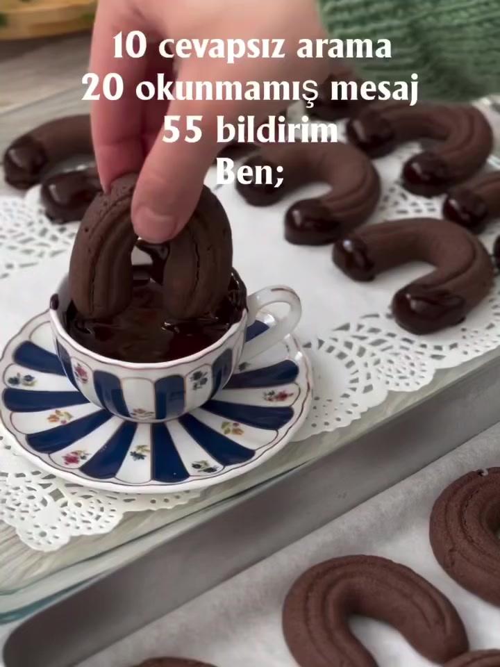 @aysece.birblogg