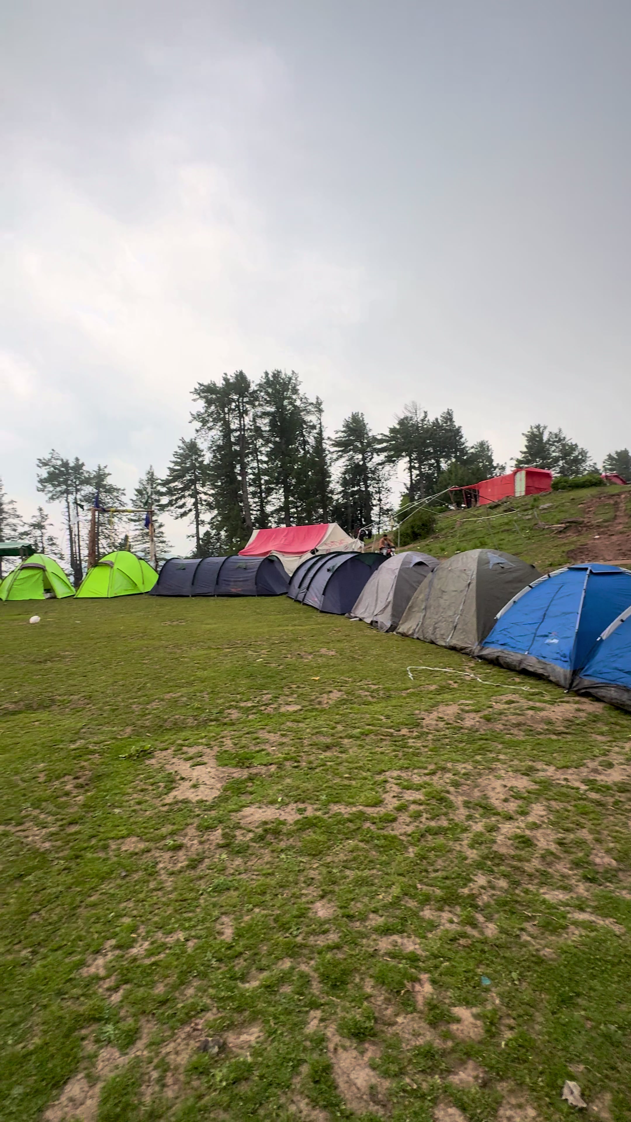 @Shogran Vibes