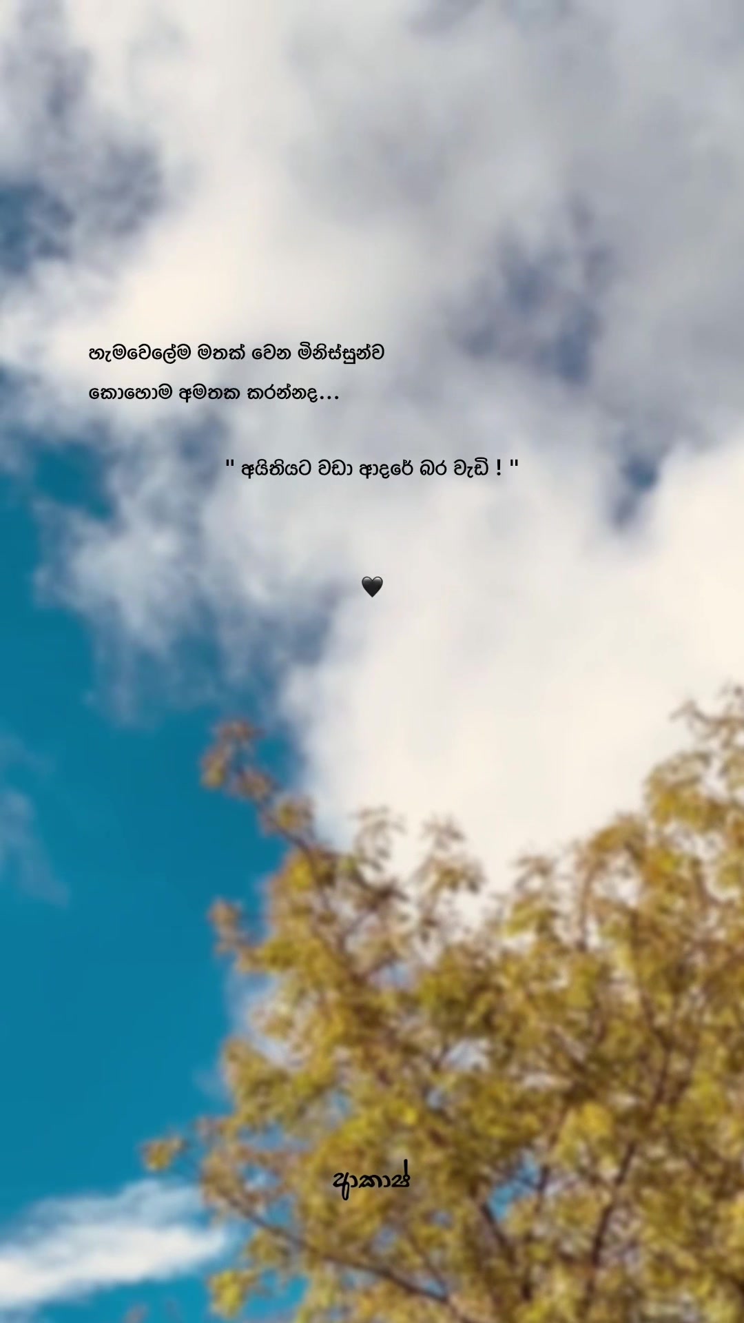 @𝑨𝒌𝒂𝒔𝒉 🧸!