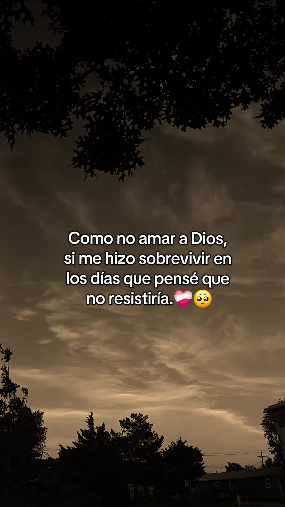 @Rosa Gonzalez