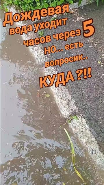 @Інна_Білоус737