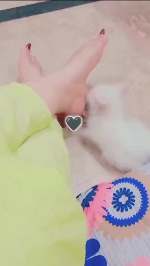 @MaRiیM👑⃟Rajpo0t