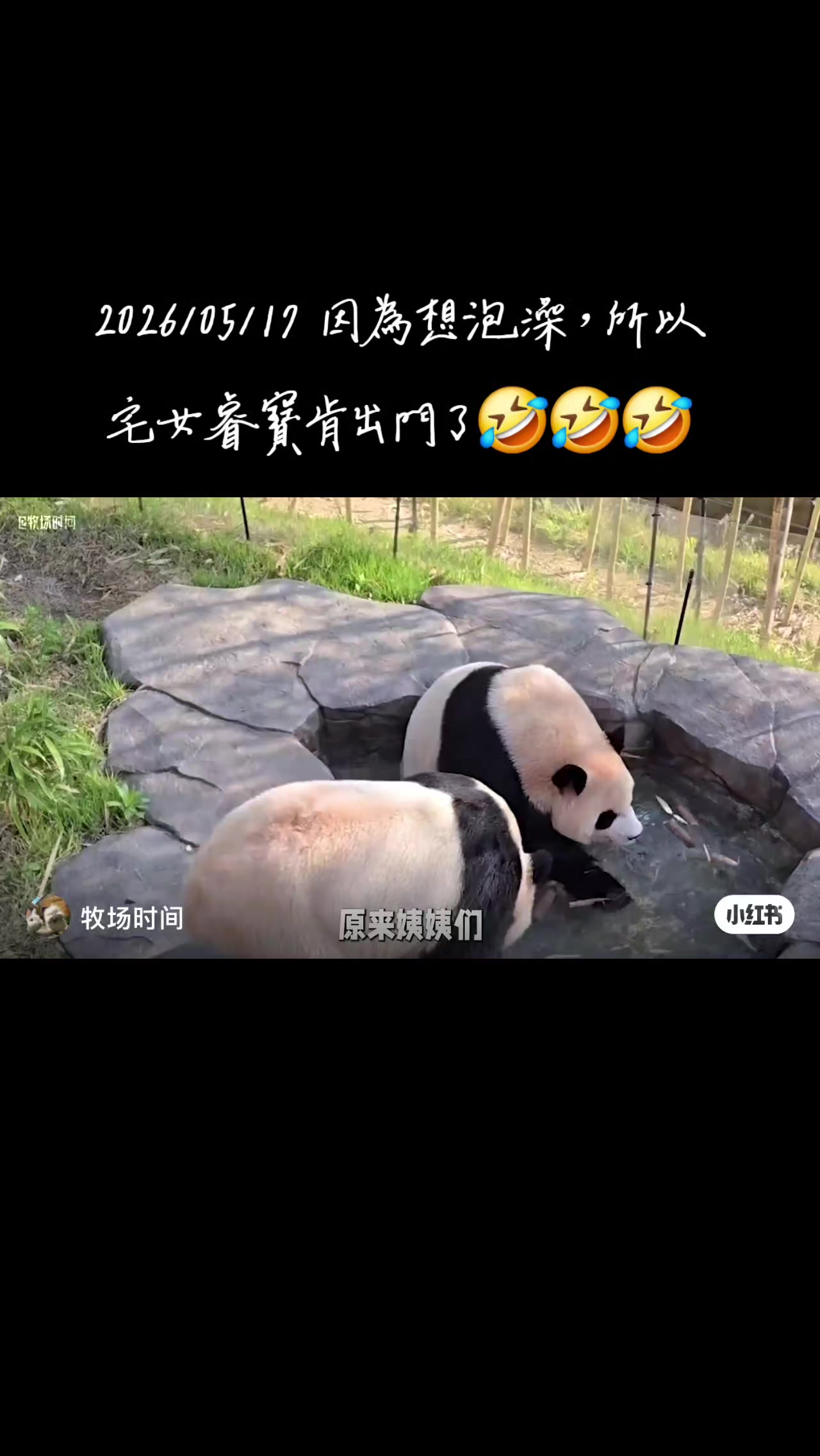 @福寶需要愛的抱抱