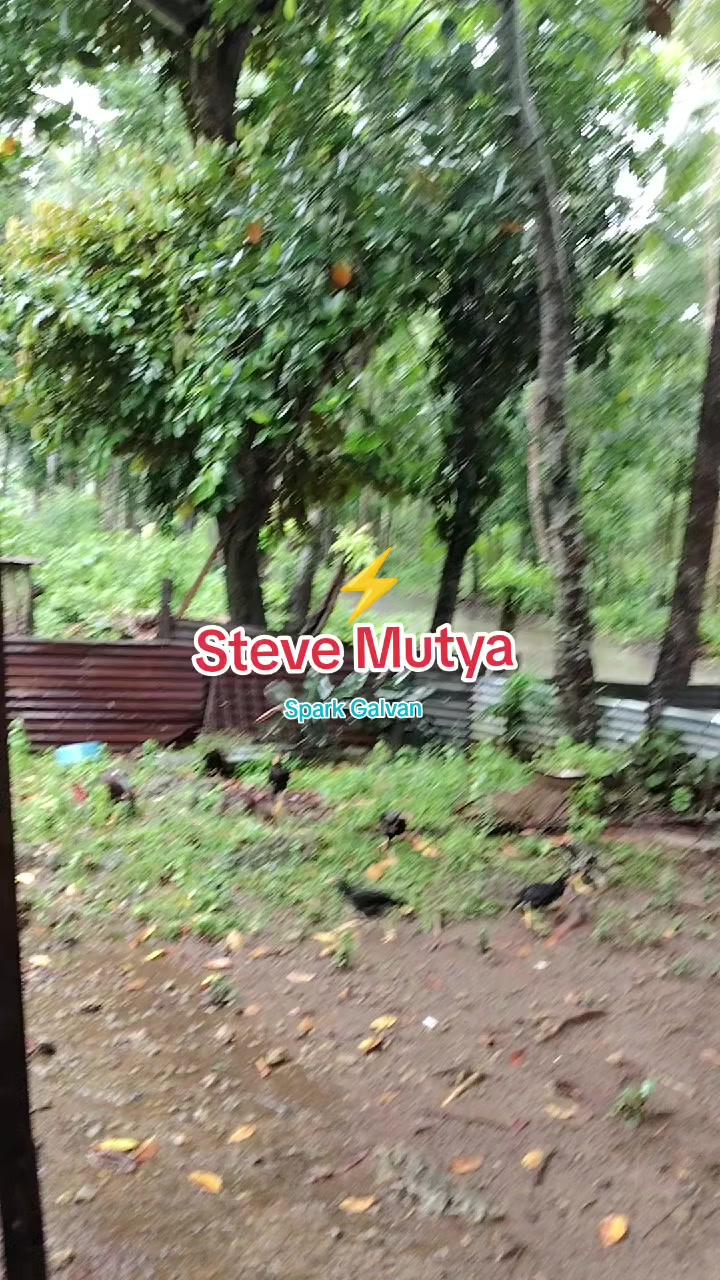 @Steve Mutya