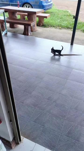 @@ไข่ตุ๋น